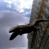 Мороз Святослав Анатольевич